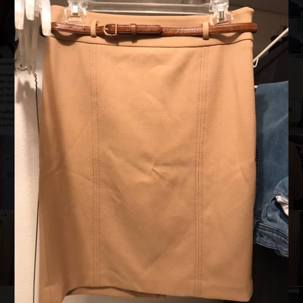 Ann Taylor Loft professional skirt + belt